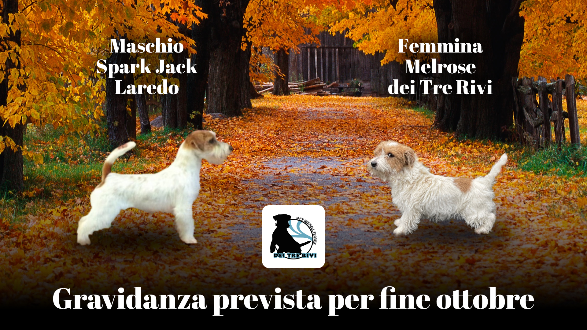 Locandina settembre 26 Locandina settembre 26